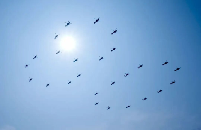 观后感5