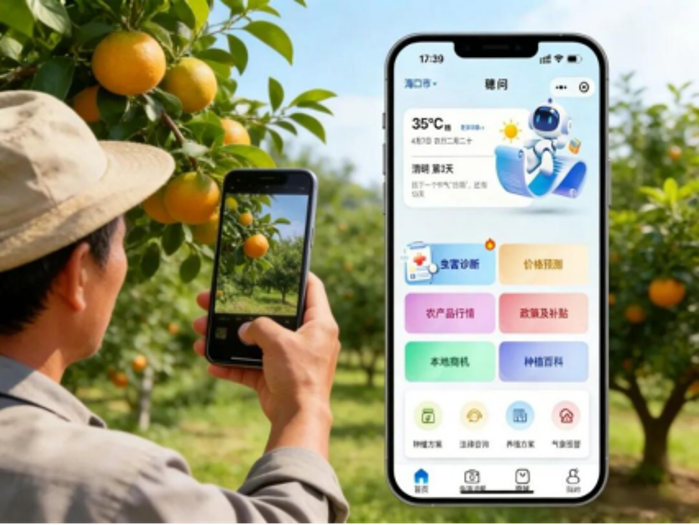 2026.4.13海南4 2026.4.13海南4